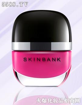 BT\|ɷ޹˾SKINBANKָõt