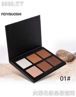 FEIYISUOSHI-6ɫݷ