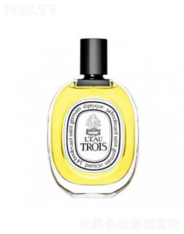 diptyqueˮˮ 100ml